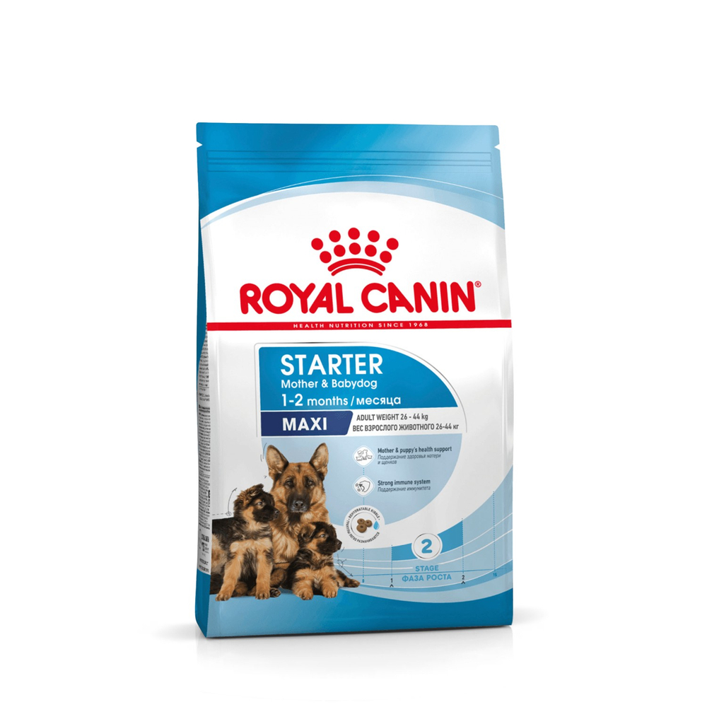 Royal Canin Maxi Starter Макси Стартер мазэ энд бэбидог Корм для щенков крупных пород до 2-х месяцев беременных и кормящих собак 4кг