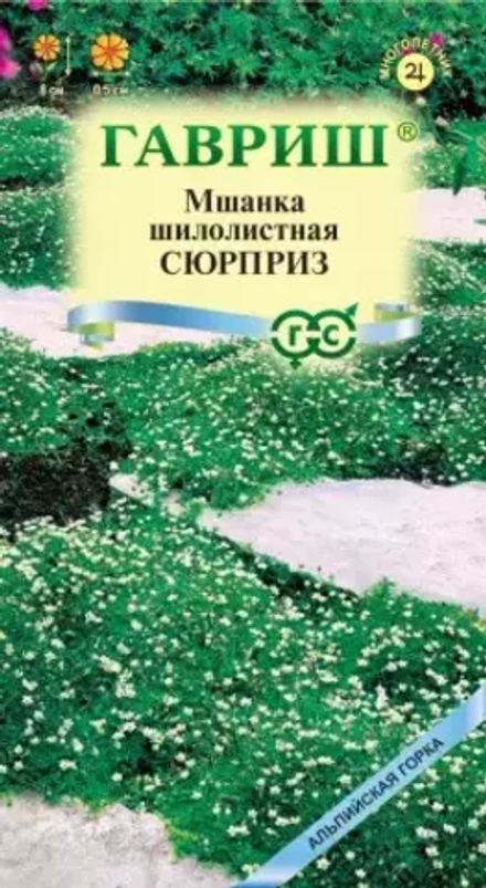 Семена Мшанка шилолистная Сюрприз, 0,01г, Гавриш, Альпийская горка (Ирландский мох)