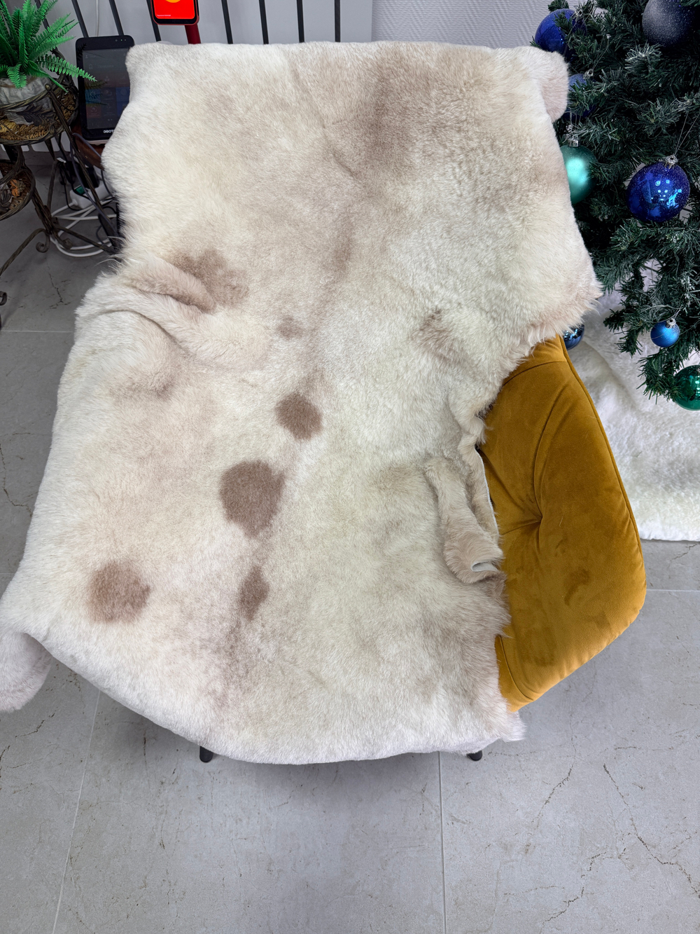 Шкура коврик меховой прикроватный овчина, 100х65 см.