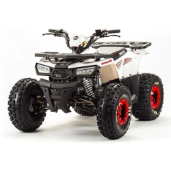 Квадроцикл Motoland 125 WILD A