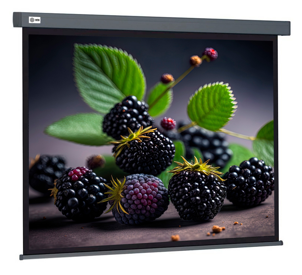 Экран  Cactus CS-PSW-127X127-SG