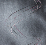 Victoria Stenova 1,06 м 286709 Trinity