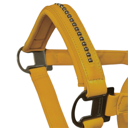 Недоуздок TGW riding