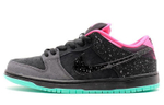 Кроссовки Nike Dunk Sb Premier "Northern Lights"