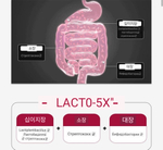 Lacto-fit Liver Care Пробиотик, симбиотик двойного действия, с экстрактом расторопши и витаминами B1, B2 и B6 для поддержки здоровья печени