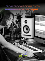 Внешняя звуковая карта Arturia MiniFuse 1 черная