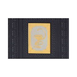 Ежедневник А5 «Медику-6» с накладкой покрытой золотом 999 пробы