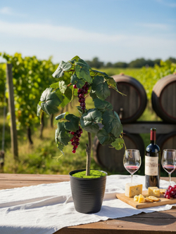Виноград искусственный 70 см в горшке