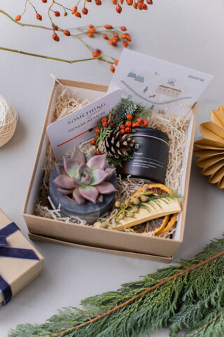 Тайный Санта