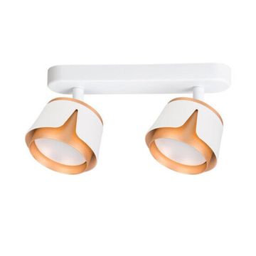 Потолочный светильник 2*GX53 A8028PL-2WH белый Amaks Arte Lamp