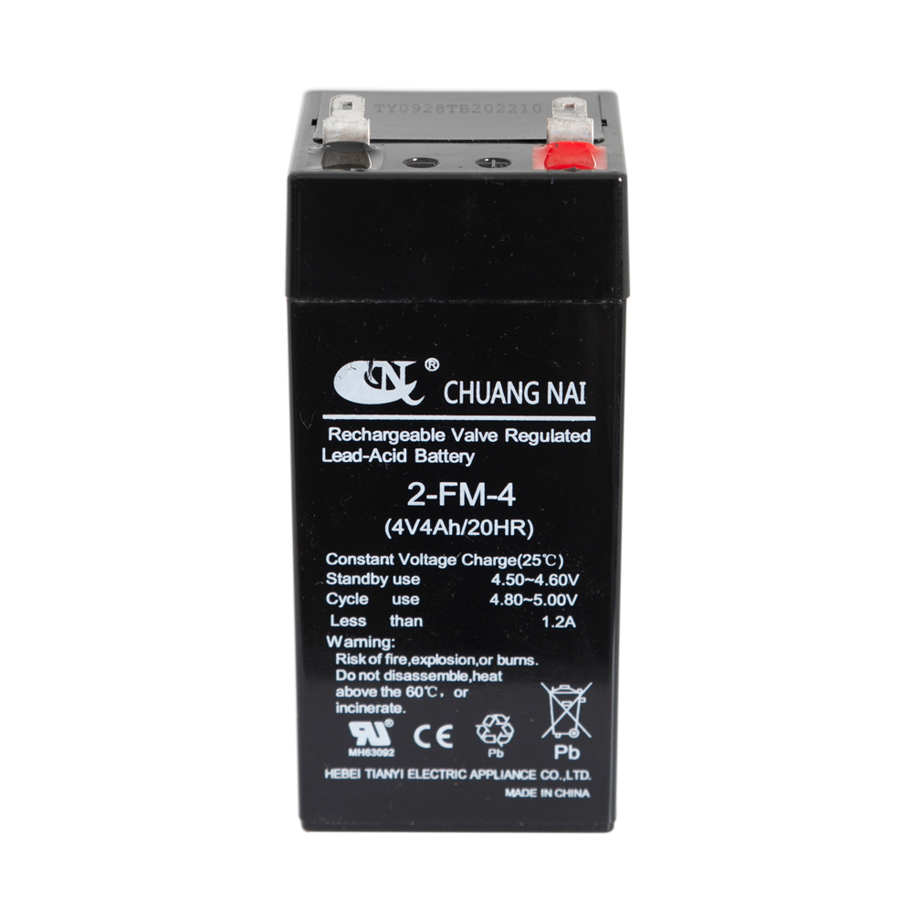 Аккумулятор для весов серии YZ Foodatlas