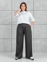 Брюки Авенсис-2 Виотекс ГРАФИТОВЫЙ