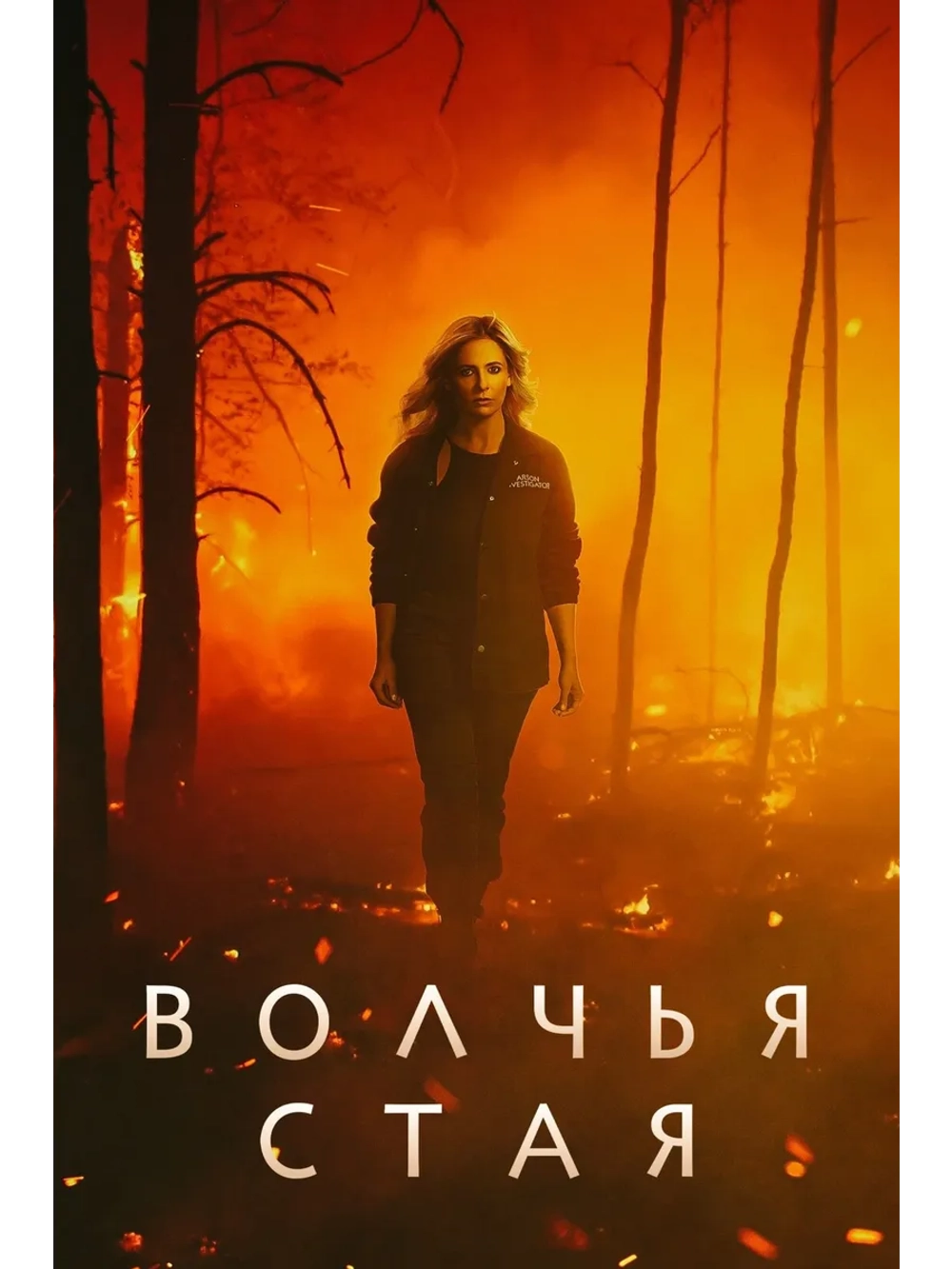 Волчья стая, сезон 1 (DVD-R)