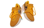 Кроссовки Nike Lebron 20 "Art Basel" 20