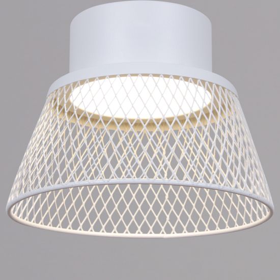 01109-0.9-01 WT светильник потолочный