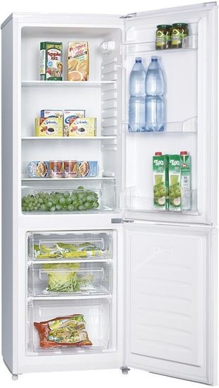 Холодильник Shivaki SHRF 260 DW