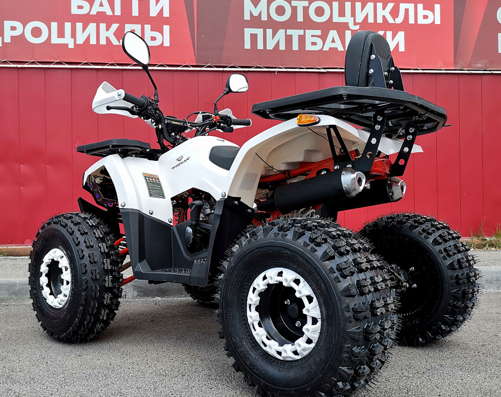 Квадроцикл PROMAX WILD 2.0 190 LUX