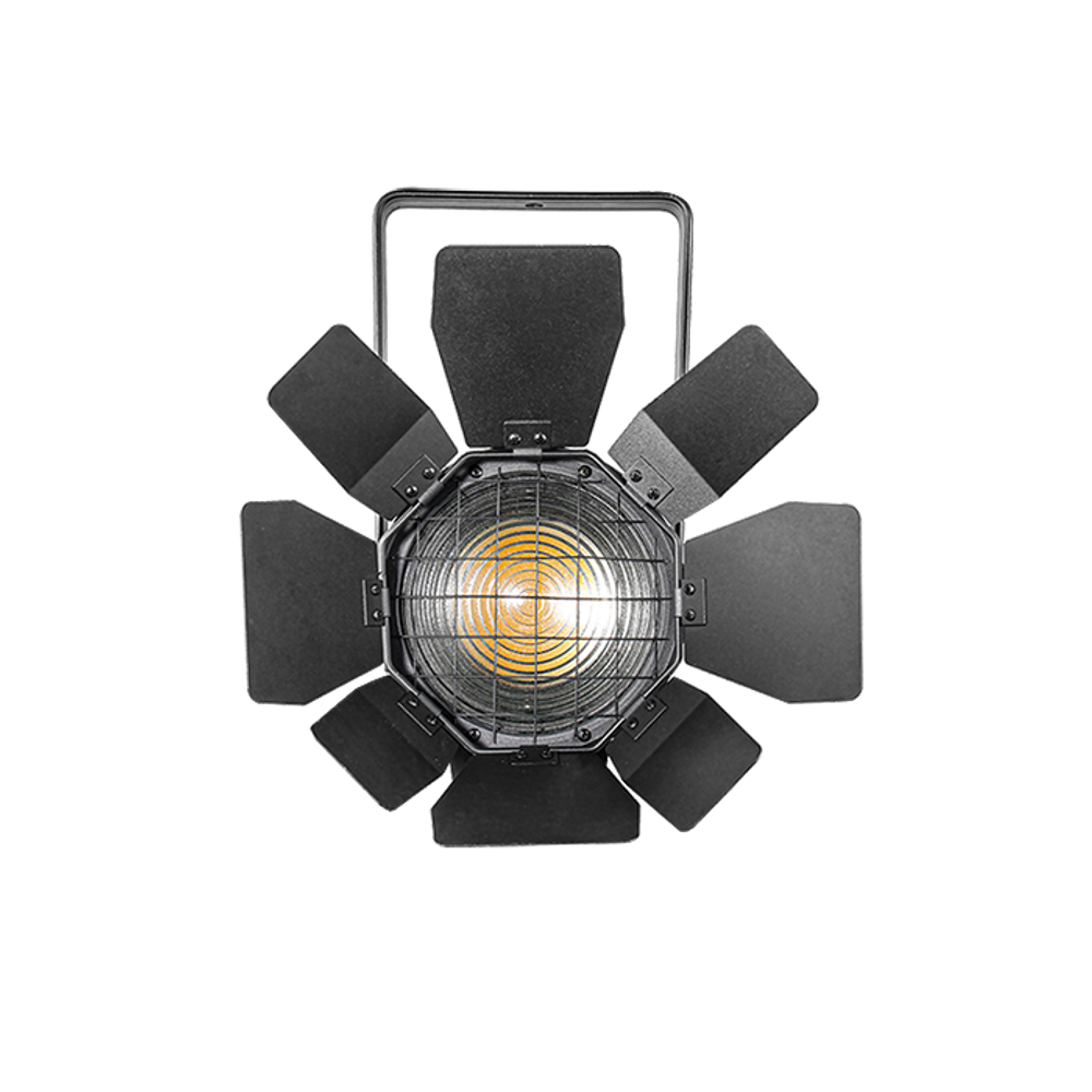 NF-MINIFRESNEL 100MZ-F FR100MF