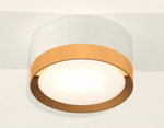 Накладной светильник Ambrella Light XS XS8101005
