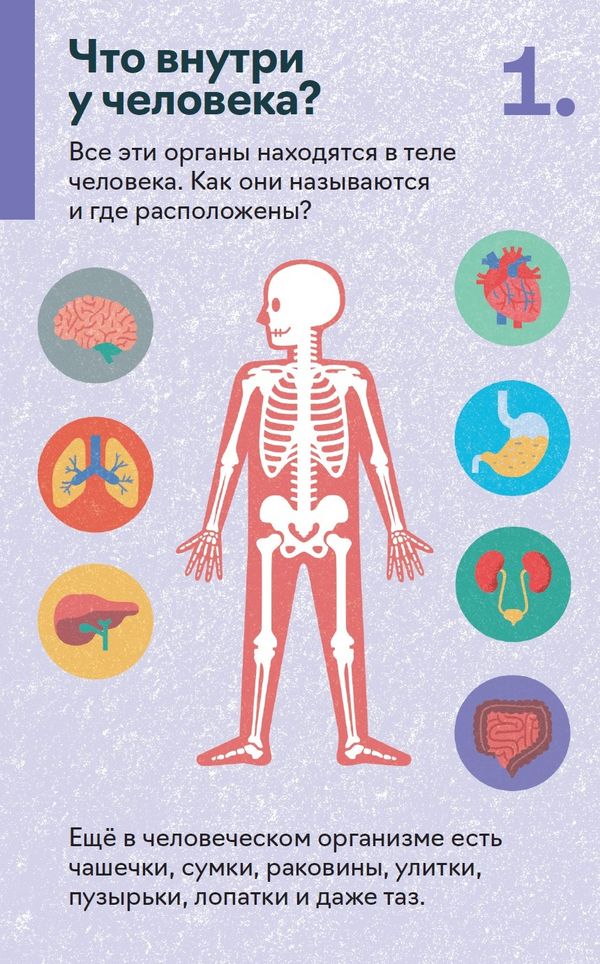Как устроен человек. 30 карточек с экспериментами