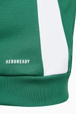 Кофта adidas Tiro 24 Training Junior - зеленый