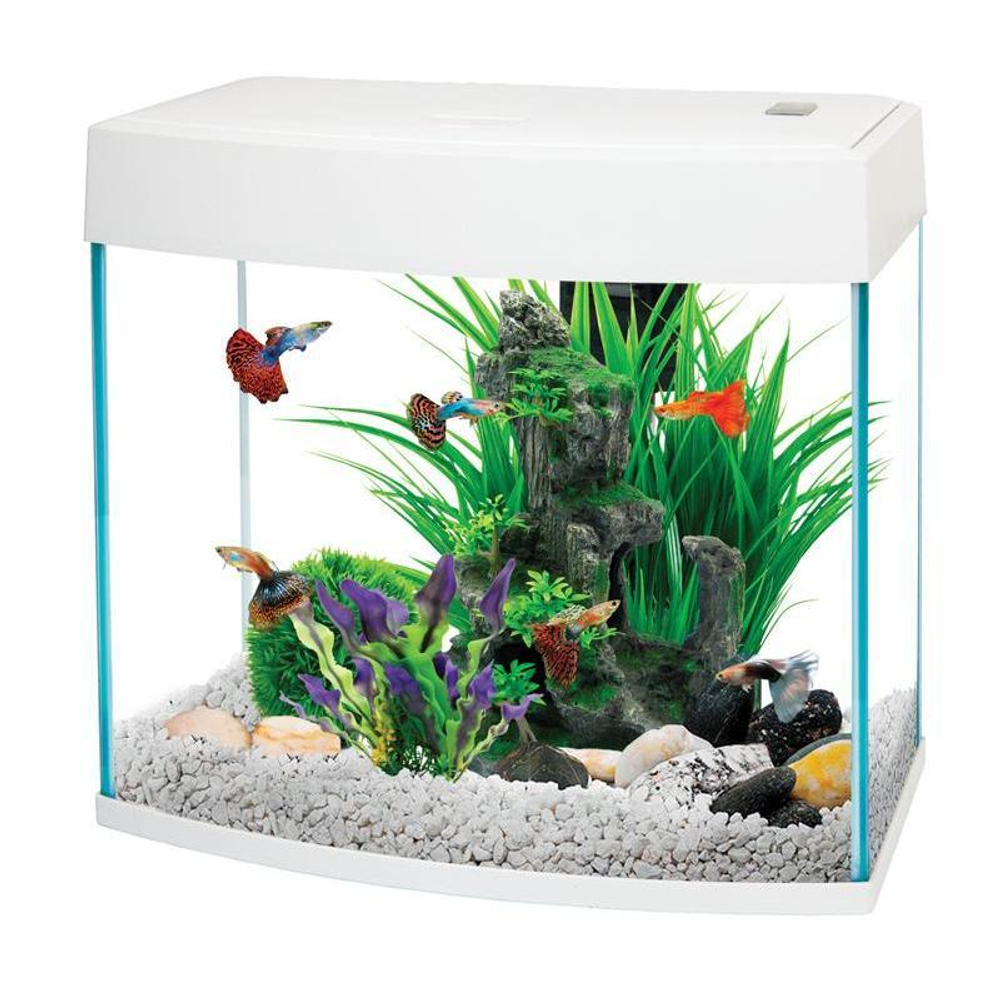 Аквариум панорамный BasicP, белый, 14л, 340*192*310мм, AA Aquarium