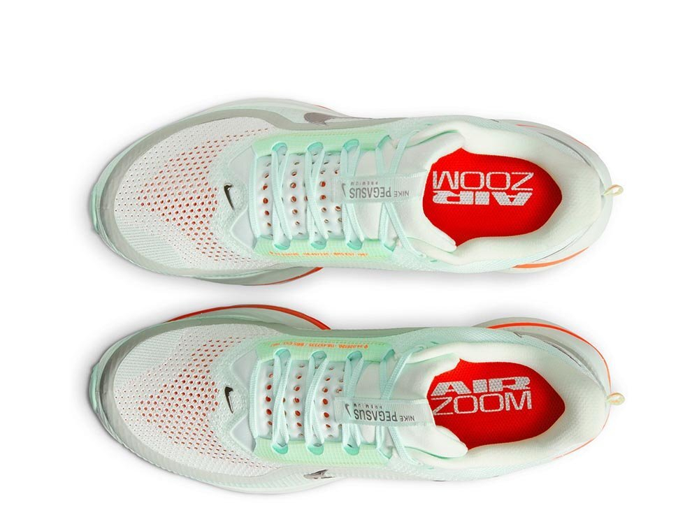 Кроссовки для бега мужские Nike Pegasus Premium Мятные