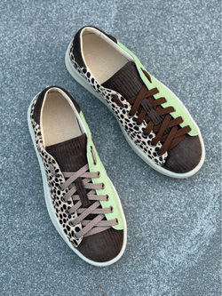 C3 Apple Dots