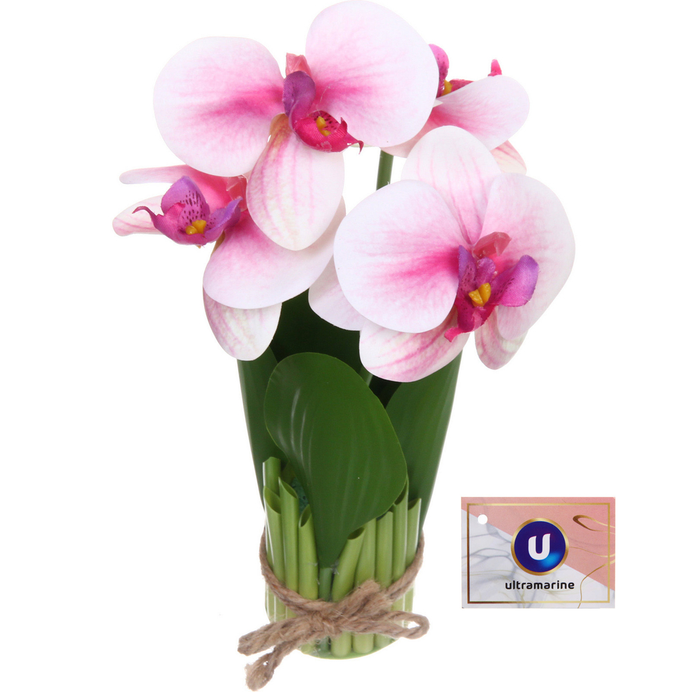 Цветочная композиция «Весенняя рапсодия» 19*27см Орхидея розовая