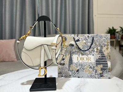 Christian Dior Saddle 21 cm