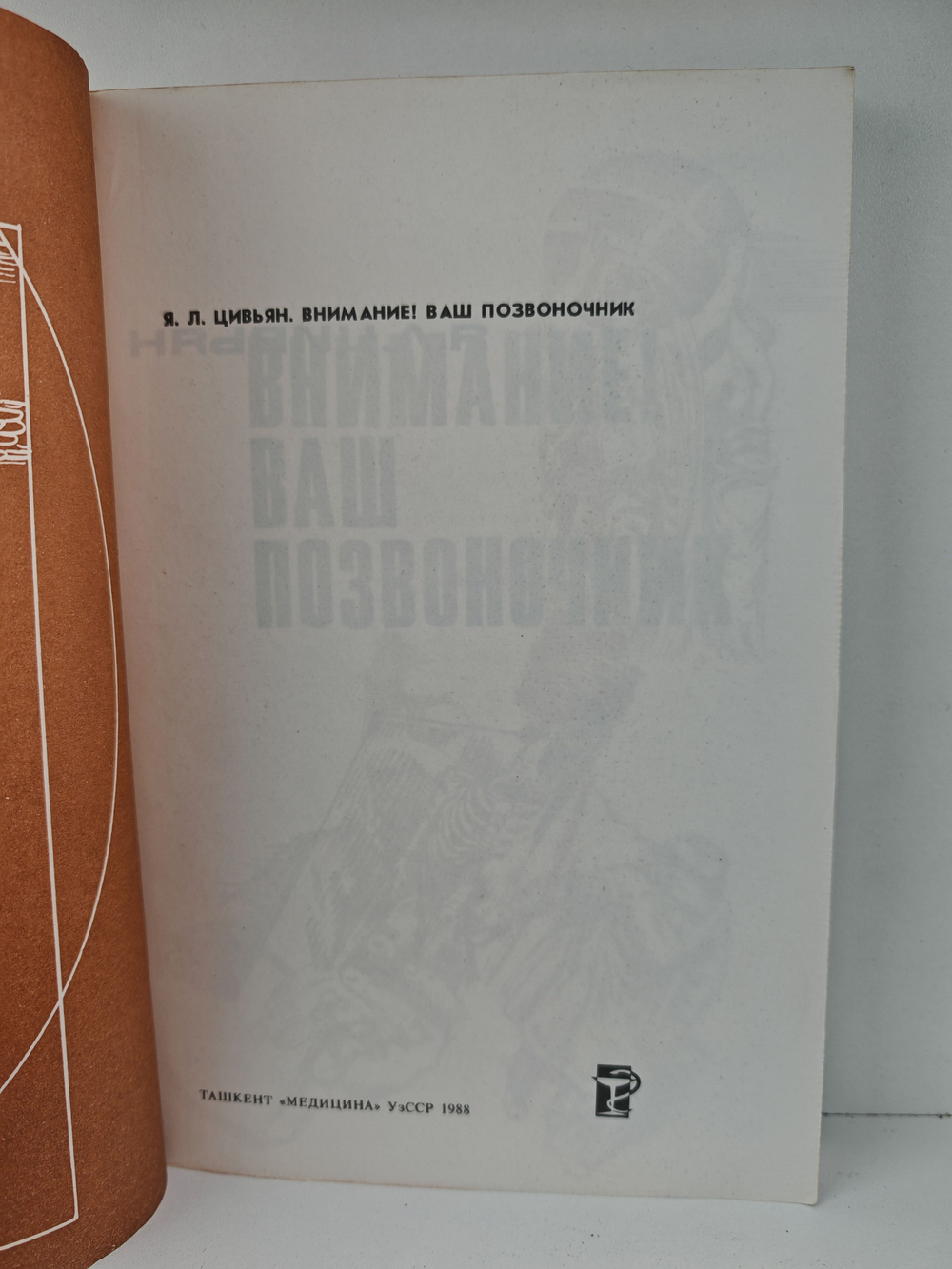 Внимание! Ваш позвоночник