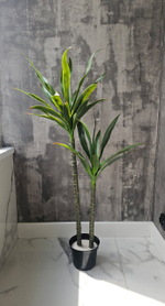 Агава 125 см без кашпо