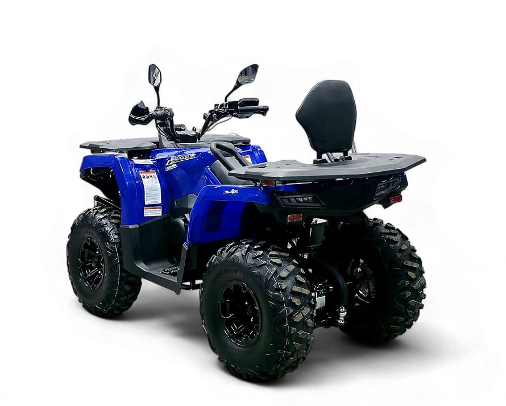Квадрицикл Bizon YK250 LUX EFI ПТС