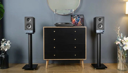 Активная полочная акустика Radiotehnika S-20NA Black Ash