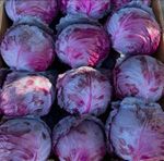 Капуста краснокочанная Ред Джевел F1 -Red Jewel F1 2500 семян