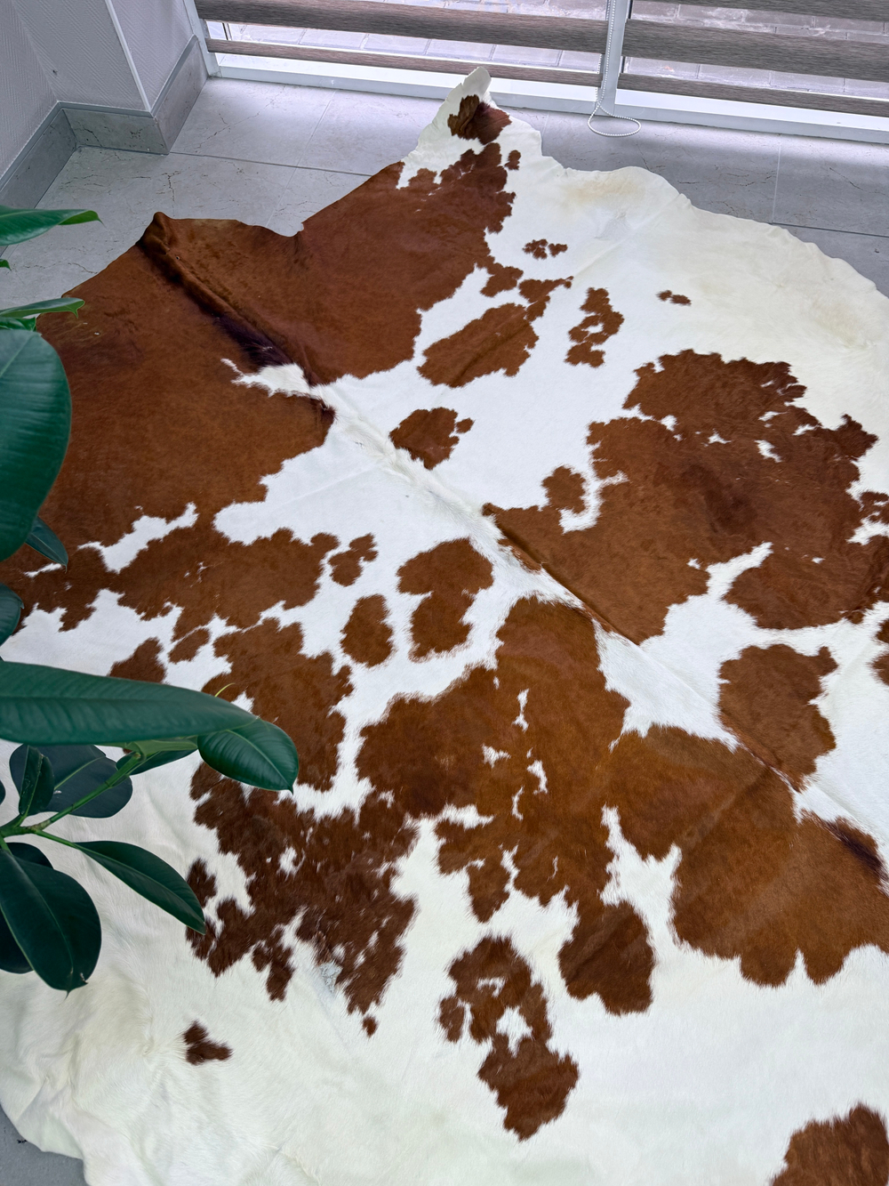 Коровья шкура на пол натуральная. 200 х 190 см