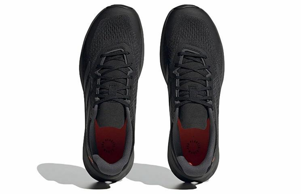 Кроссовки Adidas Terrex Soulstride Trail Flow