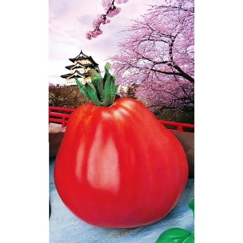 Семена Томат Японский Трюфель (УД) Е/П