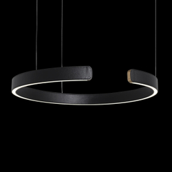 10025/600 Black Подвесной светильник LOFT IT Ring