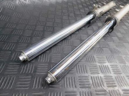 Перья вилки Yamaha TDM850 RN03J 2001