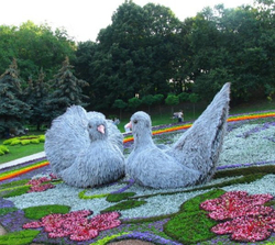 Топиарная фигура Голубь