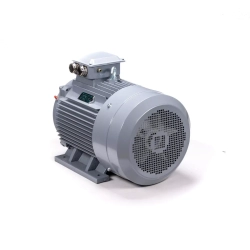 Электродвигатель ESQ PR 355 S4 GST-Б1-S32-IE2 250/1500 IM1001