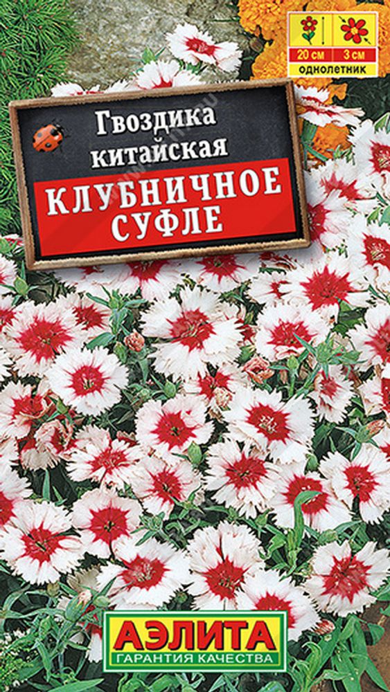 Гвоздика китайская &quot;G. Клубничное суфле&quot; 0.1г., Россия.