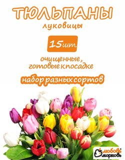 Тюльпан Луковица, Микс сортов, 15 шт