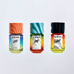 Loewe Paula’s Ibiza Туалетная вода