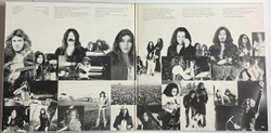 Винтажная виниловая пластинка LP Deep Purple Come Taste The Band (Japan 1979) (No Obi) Drifter