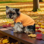 ГЮ-ВАС Свитер для собак "Ангора", ангора/нейлон