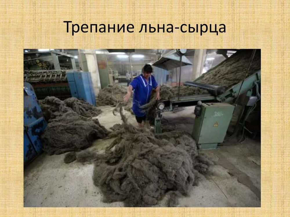 Коллекция Лен и продукты его переработки — купить по ФГОС | Учебный стандарт