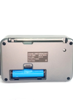 Радиоприемник Raiseng R-552