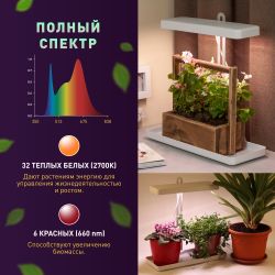 Настольный светильник для растений ЭРА FITO-20W-QLED-W полного спектра 20 Вт белый | Интерьерные фито светильники